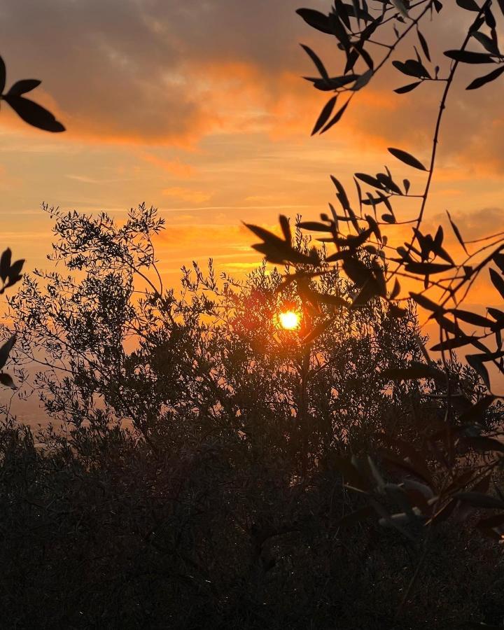 Poggio Alla Pieve Relais Каленцано Екстериор снимка